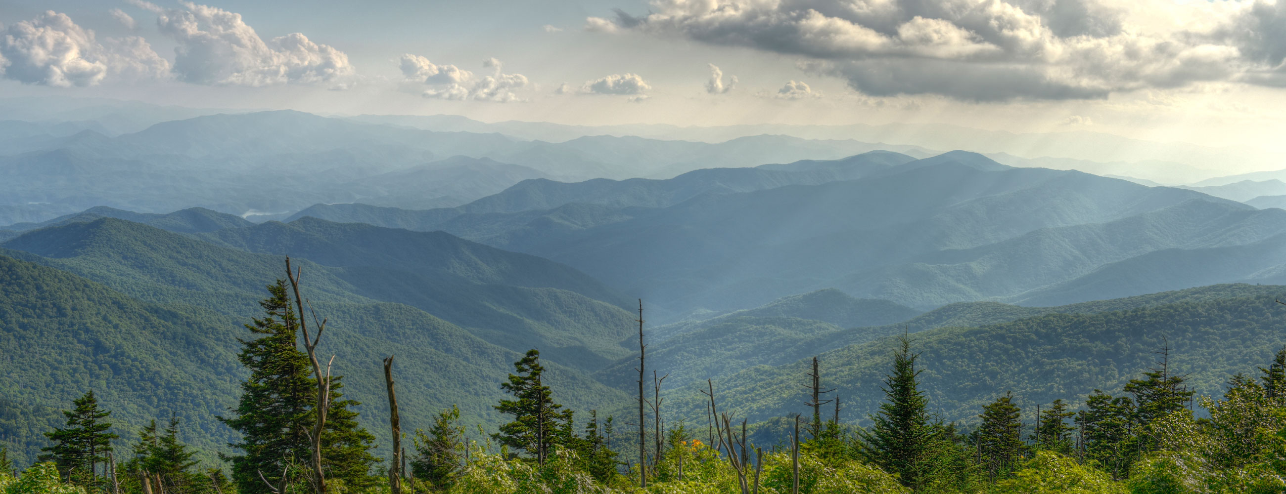Mận hậu Mộc Châu